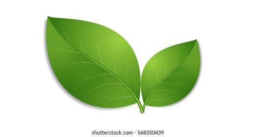 Green Leaves Icon On White Background Stock Vector (Royalty Free ...