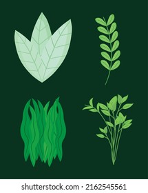 green leaves icon set design