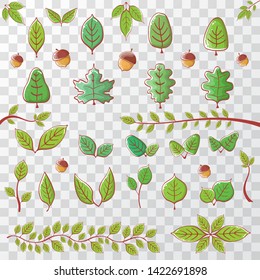 green leaves icon set isolated on transparent background. summer green leaf design elements collection 