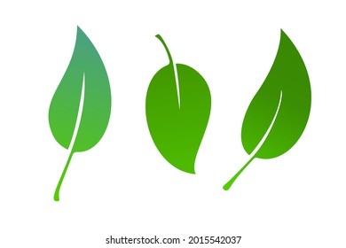 Green leaves icon set isolated on white background. Eco logo collection with beautiful gradient. Vector illustration of simple leaf set.