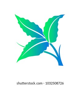 Green leaves icon shapes of trees and plants isolated on white background. Vector illustration elements for eco and bio logos