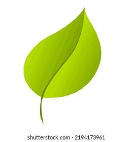 Green Leaves  icon  symbol illustration on white background