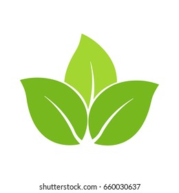 Green leaves icon vector