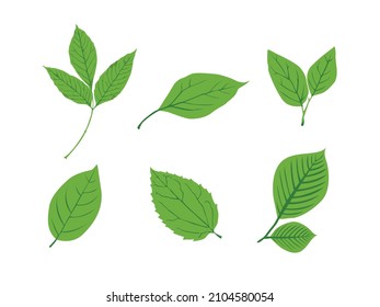 Green leaves Icon Vector illustration. Nature Leaf decorative symbol. leaves of trees and plants sign, emblem isolated on white background, Flat style for graphic and web design, logo. EPS10 pictogram
