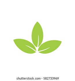 Green leaves icon vector illustration on white background