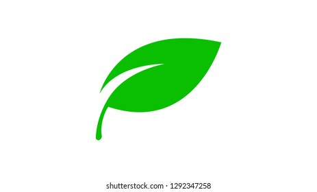 Green leaves icon vector isolated on white background