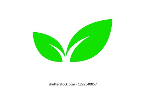 Green leaves icon vector isolated on white background