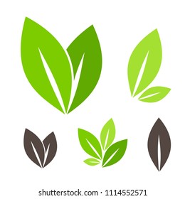 Green leaves.  Icons collection. Vector graphic design elements.