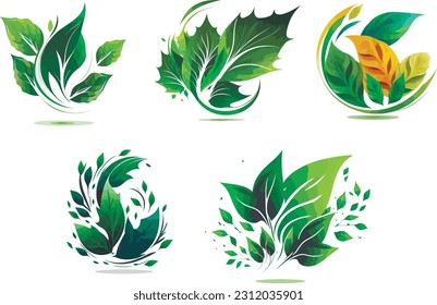 Colección de iconos de hojas verdes. Elementos de decoración.