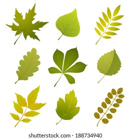 Green Leaves Icons Over White Background Stock Vector (Royalty Free ...