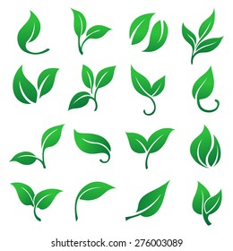 Green leaves icons set.