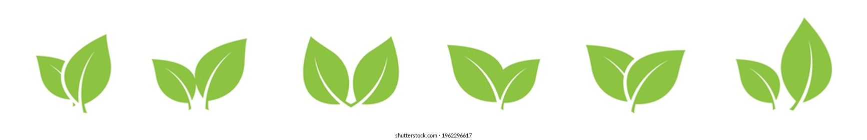 Green leaves icons set. Leaves different shapes. Eco, bio icon collection. Vegeterian signs. Nature art symbols isolated on white background. Vector graphic elements.