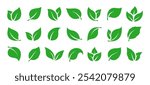 Green leaves icons set isolated on white background vector illustration. Vegan, tree, plant, fresh, energy and healthy nutrition concept.