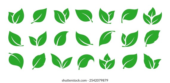 Green leaves icons set isolated on white background vector illustration. Vegan, tree, plant, fresh, energy and healthy nutrition concept.