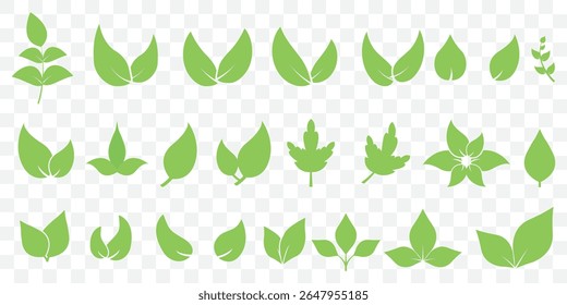 Green leaves icons set isolated on white background vector illustration. Vegan, tree, plant, fresh, energy and healthy nutrition concept on Transparent Background. EPS 10.