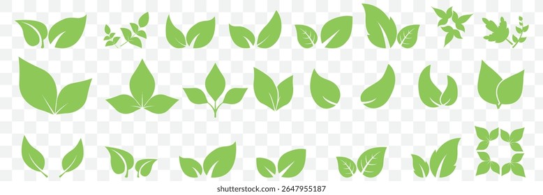 Green leaves icons set isolated on white background vector illustration. Vegan, tree, plant, fresh, energy and healthy nutrition concept on Transparent Background. EPS 10.