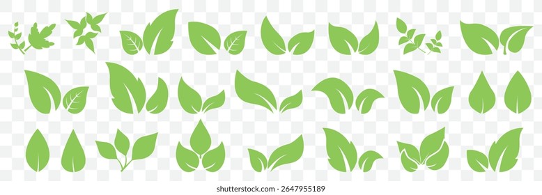 Green leaves icons set isolated on white background vector illustration. Vegan, tree, plant, fresh, energy and healthy nutrition concept on Transparent Background. EPS 10.