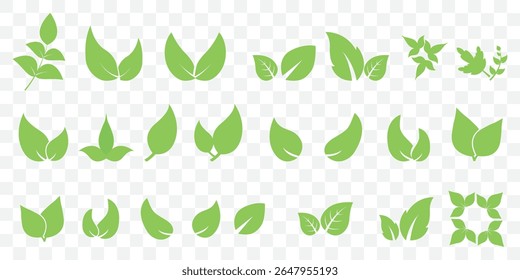 Green leaves icons set isolated on white background vector illustration. Vegan, tree, plant, fresh, energy and healthy nutrition concept on Transparent Background. EPS 10.