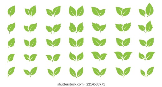 Green leaves icons set. Leafs different shapes. Eco, bio, organic, vegetarian design element. Nature symbols isolated on white background.  Vector illustration.