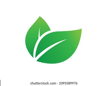 Green leaves illustration