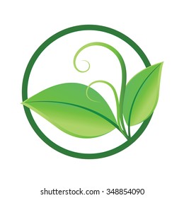 green leaves - Illustration