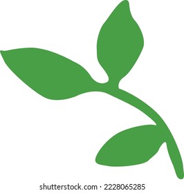 Green Leaves Illustration Vector Design