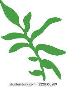 Green Leaves Illustration Vector Design