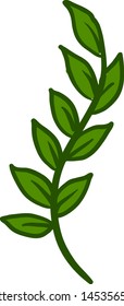 Hojas verdes, ilustración, vector sobre fondo blanco.