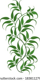 Green leaves, illustration, vector on white background
