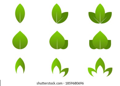 Green leaves illustration vector set