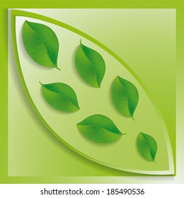 Green leaves inside the big one.