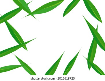 Green leaves isolate on white background. Copy space for your text, business,card. Vector illustration.