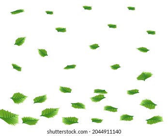 Green leaves isolate on white background. Copy space for your text, business,card. Vector illustration.