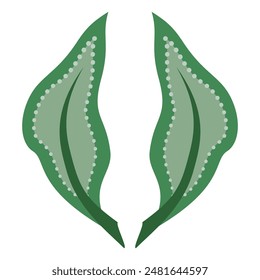 Elemento de diseño aislado de hojas verdes sobre fondo blanco. Colores verdes delicados. Antiguas deja la Ilustración vectorial. Para textiles, proyectos de diseño y tarjetas.