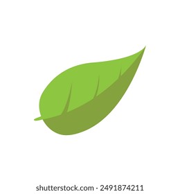 Grüne Blätter isoliert auf dem Hintergrund. Vektorillustration