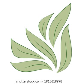 Green leaves isolated on white background for designs eco card. Vector illustration.