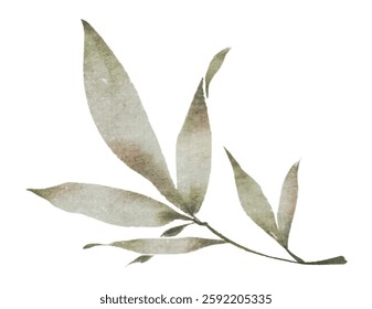 green leaves isolated on white background