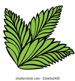 Hojas verdes. Ilustración vectorial aislada. Hojas verdes. Ilustración del vector