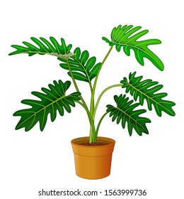 Green Leaves Ivy Plant In Brown Pot Cartoon for your design