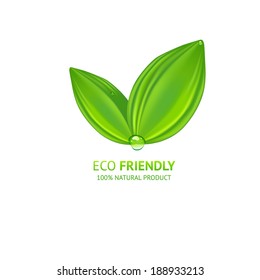 Green leaves label. Vector eco label. Ecology product label.