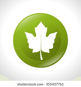 Green leaves or leaf graphic icon design, vector illustration eps10