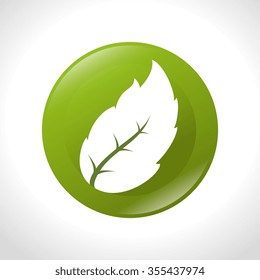 Green leaves or leaf graphic icon design, vector illustration eps10