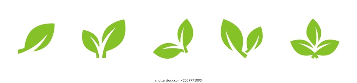 Green leaves. Green leaf icons. Leaves illustration. Green leafs collection. Leaves of trees and plants.