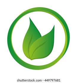 green leaves leaf nature isolated vector illustration