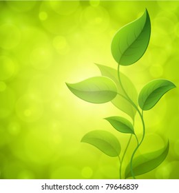 Green leaves with light. Vector background Eps 10.