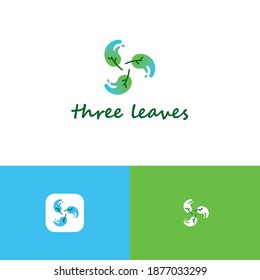 Green leaves logo company, logo vector template design with three preview. Ready to use, easy for edit. 