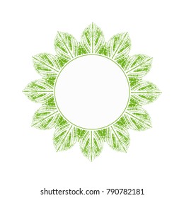 Green leaves logo with empty blank space for put any content on center, Vector illustration
