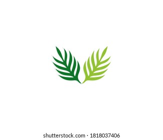 Plantilla de diseño de vectores del logotipo de hojas verdes