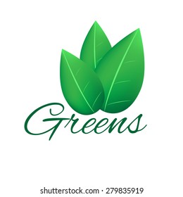 Green leaves logo / Vector illustration of ecology concept icon with glossy green leaves / Green Eco friendly /  abstract green leaves