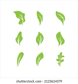 Green leaves logo.green leaf icons set vector template
